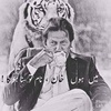 turab.khan076