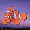 ou_est_mon_nemo