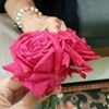 saima.71710