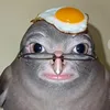 pigeon_frozen