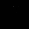 myari40