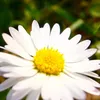 zanna.nera7