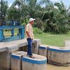sarfan516