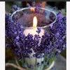 lavinderflower016