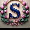 saleem.karachi8