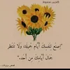 user6680611372390