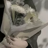 yon_u33