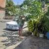 marinalvameira60