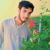 sherzad.khan446