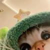 catttmanfan
