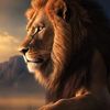 khalil.ahmad7402