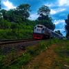 trirachmabintang