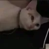 gil_ivan_marcos