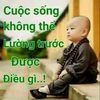 dao.ngoc73