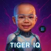 tigeriq.shop1k