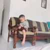 piring_rumahan