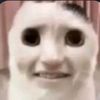 xoxogael1