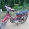 jejakarimbajejaka1