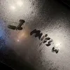 mncte1807