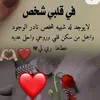 user4428769667026