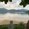 lieu.tran7803