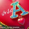 asgar.ali6853