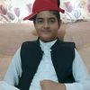 fareedali8116