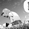 harunao09