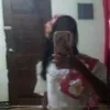 know_sab
