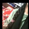 rowja743o