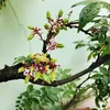 kodi0718