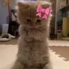 itsyogirlaena_