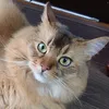 the.hiro1