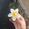 amelie_626