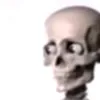 random49dude64