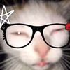 mice_k9s