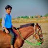 mahad5771