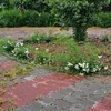 usermenarjs