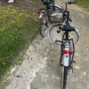 anuaj304