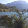 hazem5627