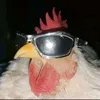 queencard_
