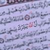 user4615663236086