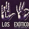 EXOTICCLUB🍱