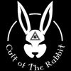 cult.of.the.rabbi