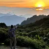 onekhesi.harefa