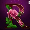 user8176207095997
