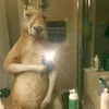 junirocamado2