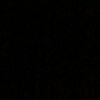 _diais.2