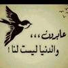 farouk_3737