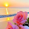 phyo.phyo8505